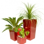 3-red-pots