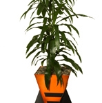 orange-pot